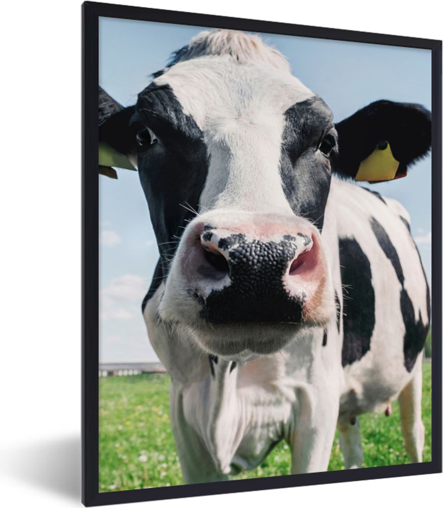 MuchoWow Gerahmtes Poster Kuh - Wiese - Natur - Tiere - Gras 30x40 cm - Poster mit Schwarzem Bilderrahmen Wandposter Rahmen Foto Bilder - Wanddek...