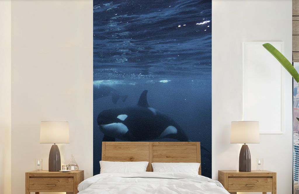 MuchoWow Fototapete für Wohnzimmer oder Schlafzimmer Wandtapete Vinyl Motivtapete Orcas unter Wasser - 120x240 cm - Hintergrundbild