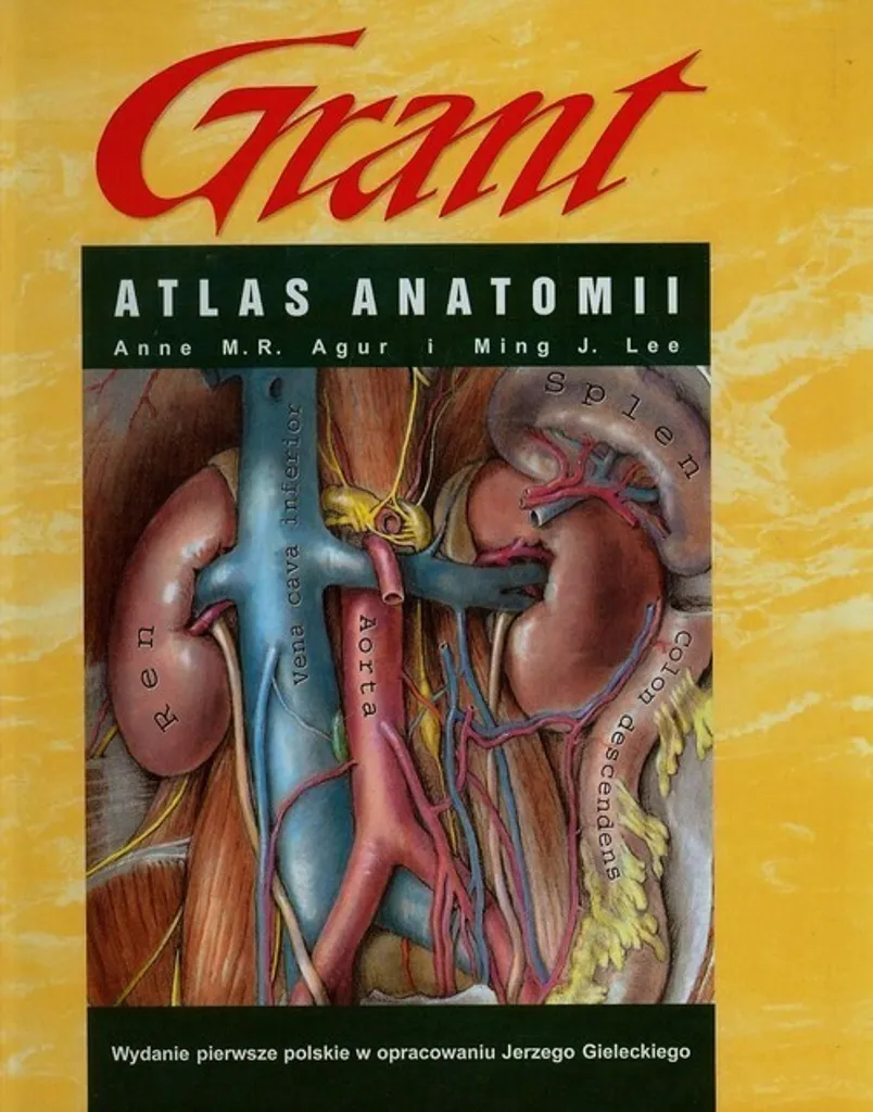 Livre d'anatomie humaine Atlas de Grant Edition de référence médicale