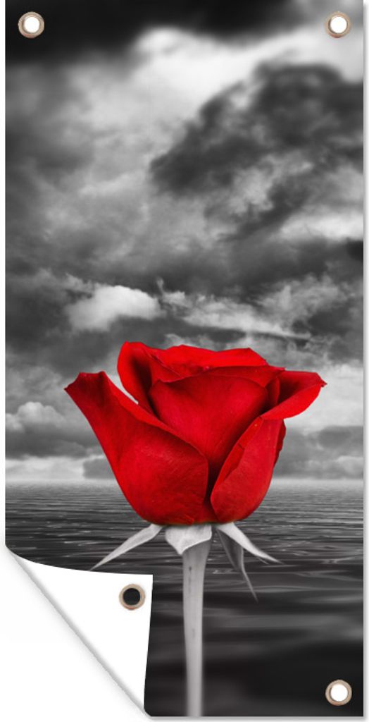 MuchoWow 30x60 cm Outdoor-Poster Gartendeko Sichtschutz Garten Poster für den Garten Schwarz-Weiß-Fotografie einer roten Rose vor einem Meer un...