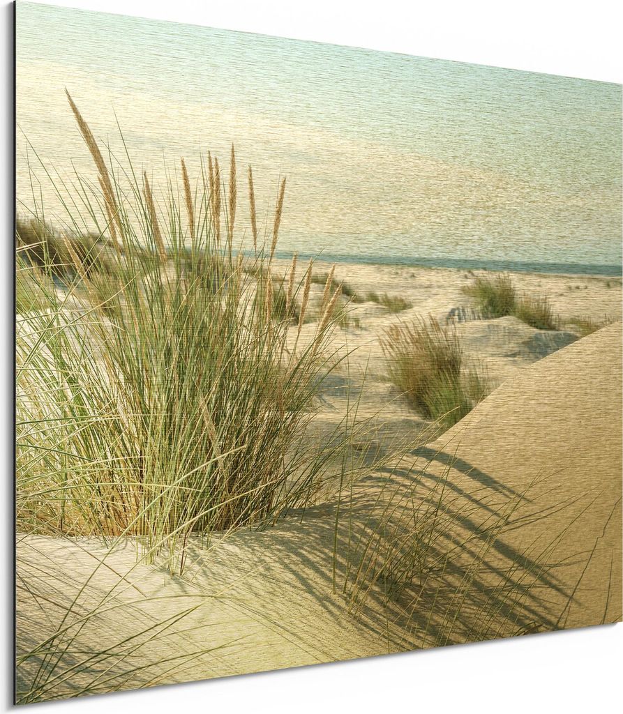 DEQORI Alu-Dibond Bild Gold 80x60 cm 'Dünen an Nordseeküste' Wandbild Metall dünn Design