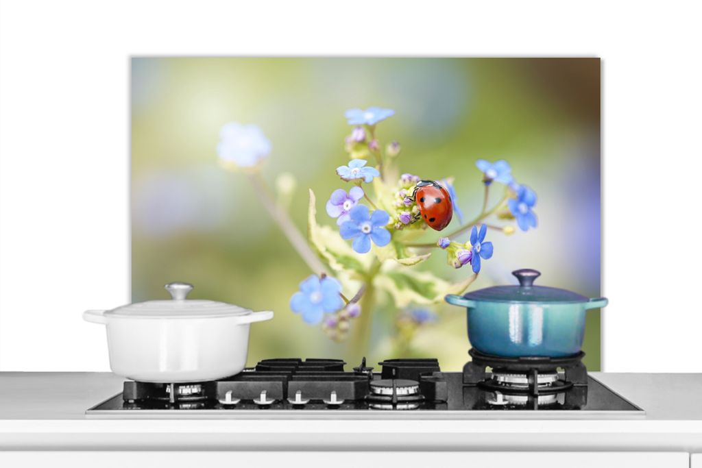 KitchenYeah Spritzschutz Küche - Küchenrückwand - Wandschutz für Herd und Spüle - Marienkäfer - Blume - Frühling 80x55 - Alu-Dibond (Alter...