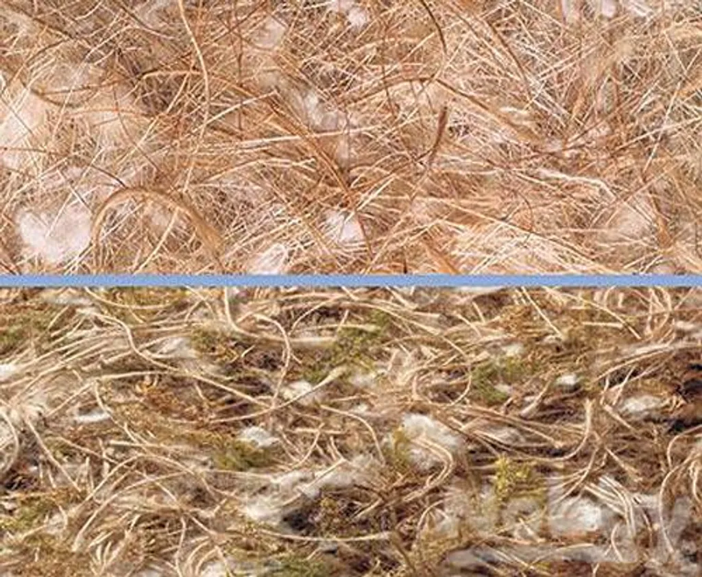 Mix Nido Animalis 500g | Juta, Cotone e Muschio | Allevamento Professionale