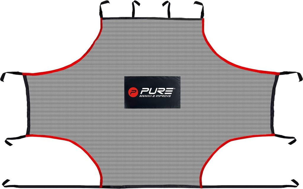 Pure2Improve Indoor-Übungsnetz 275 x 185 cm PE
