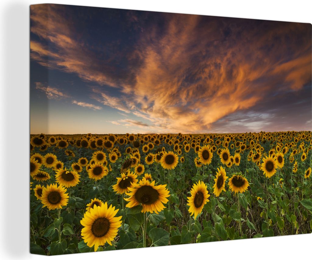 OneMillionCanvasses - Leinwandbilder - 140x90 cm, Sonnenblume - Himmel - Abenddämmerung, Wandbilder Kunstdruck Wanddekoration