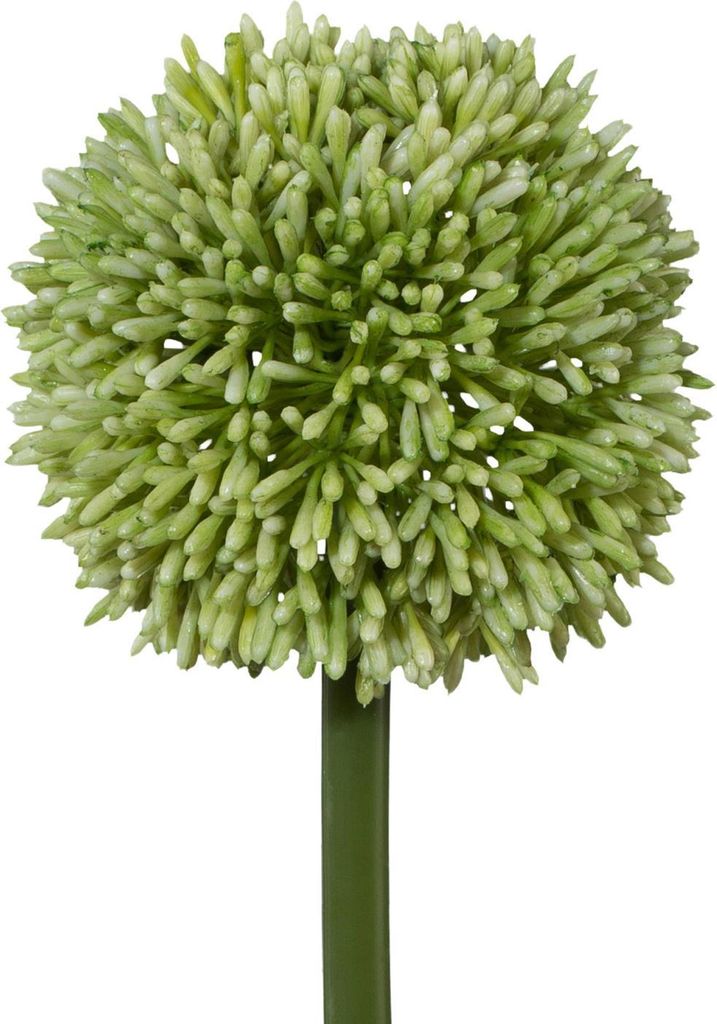 künstliche Allium grün H. 64cm Blüte D. 11cm GASPER Kunstblumen