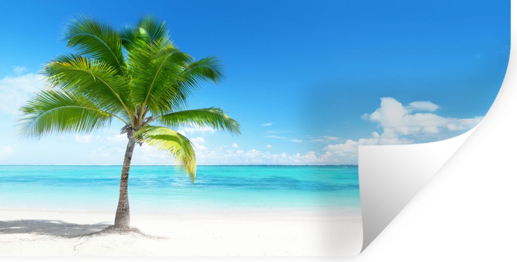 MuchoWow Wandtattoo Wandsticker Wandaufkleber Palme - Strand - Meer - Sommer 160x80 cm Selbstklebend und Repositionierbar - Sticker - Dekorfolie