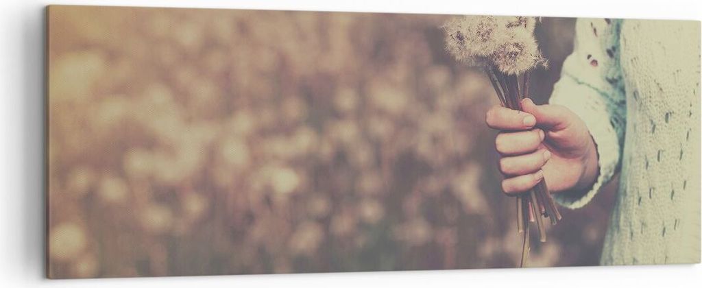 Bild auf Leinwand - Leinwandbild - Baby Sommer Pflanze - 140x50cm - Wand Bild - Wanddeko - Leinwanddruck - Bilder - Kunstdruck - Wanddekoration - L...