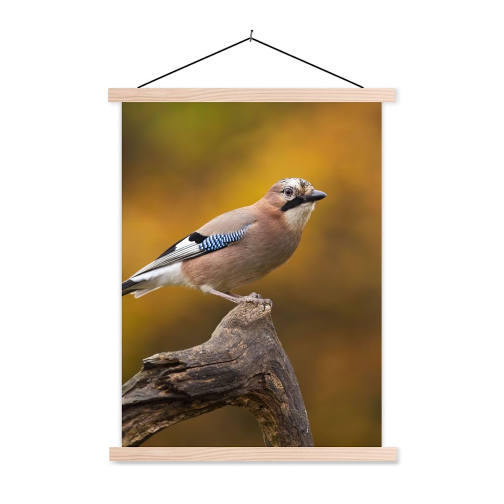 MuchoWow Textilposter Vogel - Zweig - Eichelhäher 40x53 cm mit holzfarbenen Rahmen - Schlafzimmer