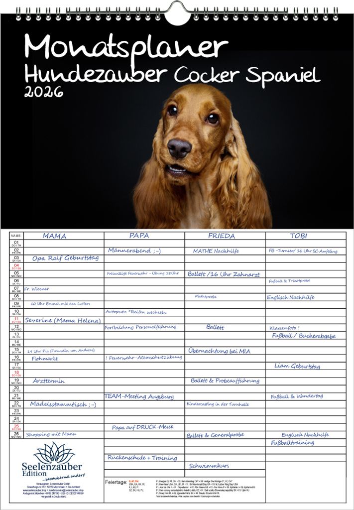 Hundezauber Cocker Spaniel Planer Familienplaner 4 Spaltenplaner DIN A3 Kalender für 2026 Welpen und Hunde - Seelenzauber