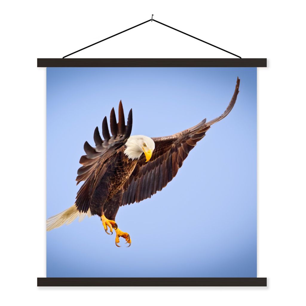 MuchoWow Textilposter Adler - Luft - Tier 60x60 cm mit schwarzem Rahmen - Posteraufhänger