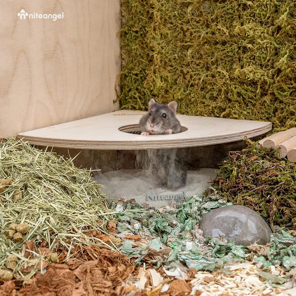 Baignoire à sable pour hamster et souris en acrylique transparent L