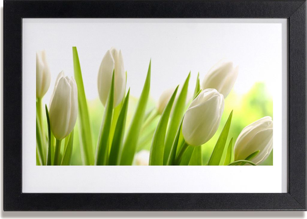 Bild 30x20 MDF-Rahmen Wandkunst Tulpen Blumen