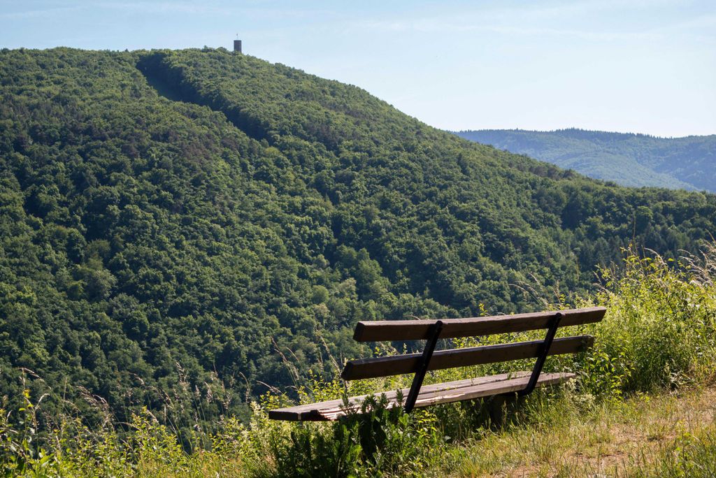 hansepuzzle 21925 - Bank mit Ausblick Puzzle, 2000 Teile, Natur, 90,0 x 60,0cm mit hochwertiger Aufbewahrung, Kartonbox & Beutel