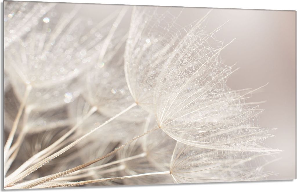 Piastra di copertura del piano cottura 80x52cm 1 pezzo in Immagine del prodotto 