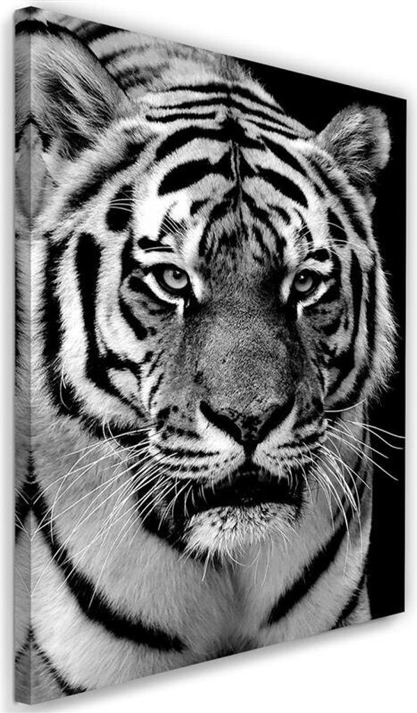 Leinwandbild schwarzer und weißer tiger 80x120 cm Feeby grau wandbild bereit zum aufhängen