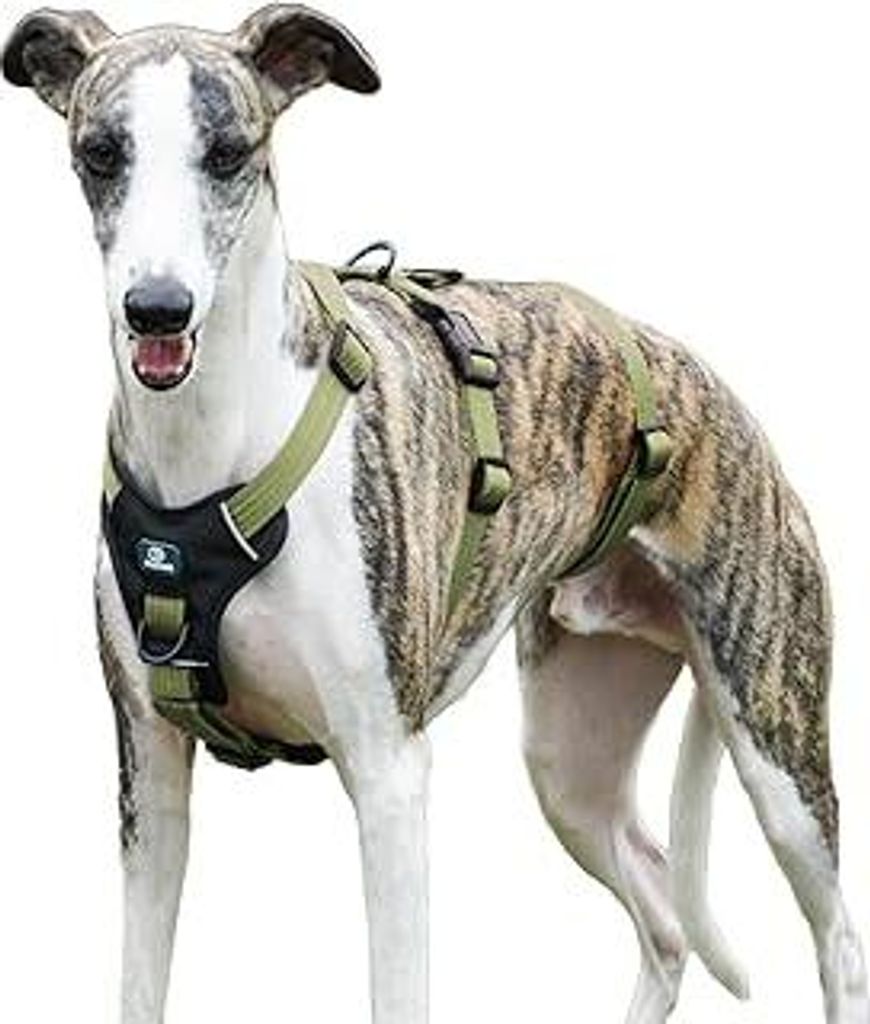 Sicherheitsgeschirr Hund, Anti Zug Hundegeschirr, Panikgeschirr für Hunde, Ausbruchsicheres Geschirr Hund, Verstellbare, Atmungsaktiv Weste für k...