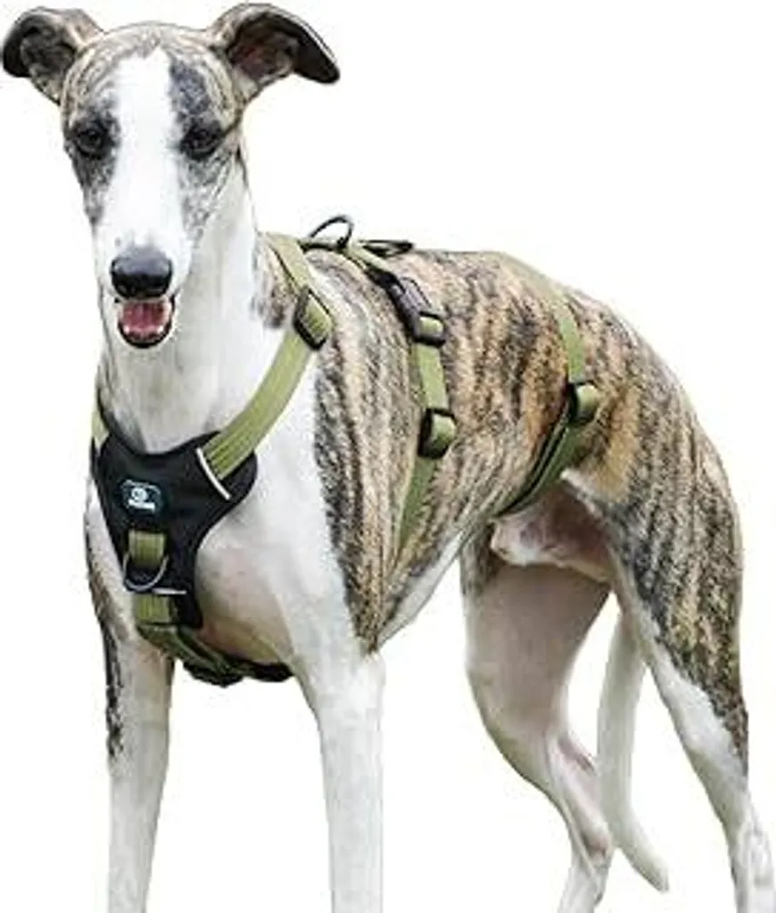 Imbracatura Cane Antifuga Verde M | Pettorina Sicurezza Anti-Trazione