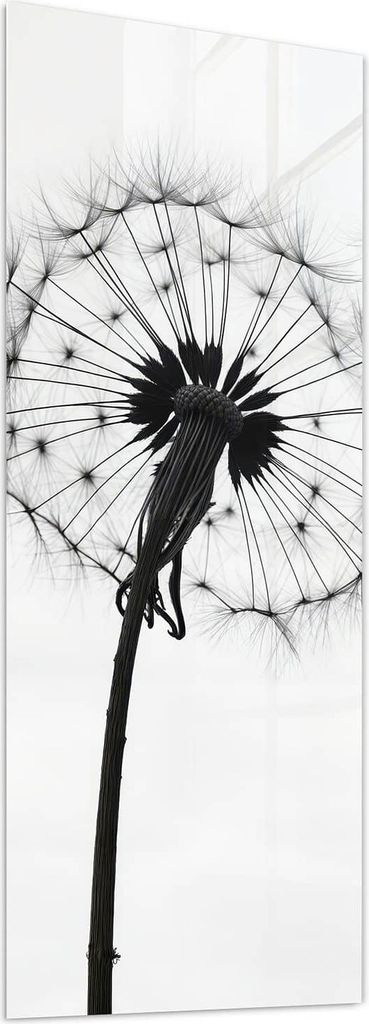 Glasbild 60x150cm in XXL für Wohnzimmer, Schlafzimmer Motiv Pusteblumen