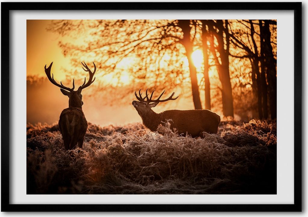 Bild - Bilderrahmen - 100 cm x 70 cm - MDF - Rahmen - Foto - Wandkunst Hirsch Osten