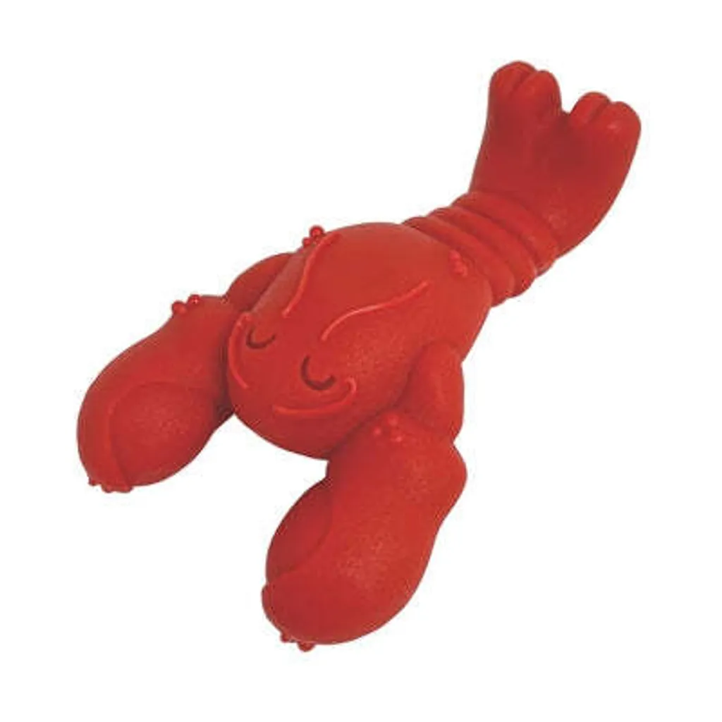 Jouet Chien Résistant Nylabone Extreme Chew Homard Goût Filet Mignon