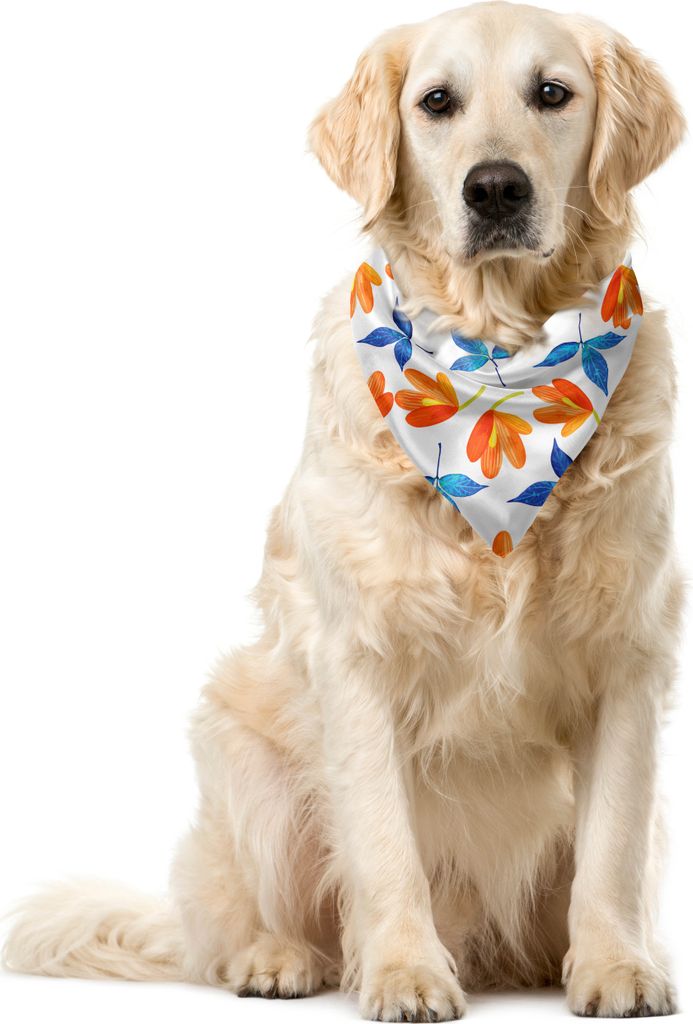 ABAKUHAUS Blume Haustier Bandana, Blooming Petal und Blatt, 55x55 cm, Blasses Orange Kobalt-Blau