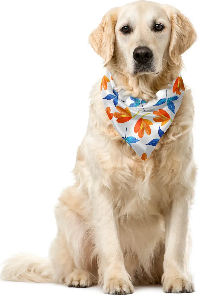 Bandana per Cani ABAKUHAUS Floreale Arancione Blu 55cm | Pet Look