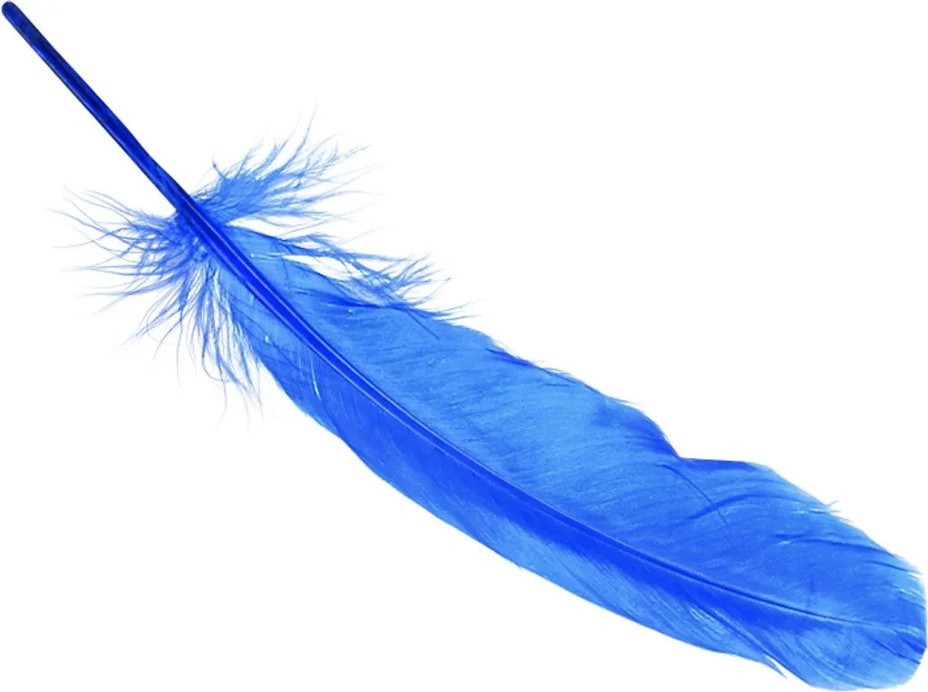 Plumes d'Oie pour Décoration et Loisirs Créatifs 16-21cm Lot de 5 Bleu