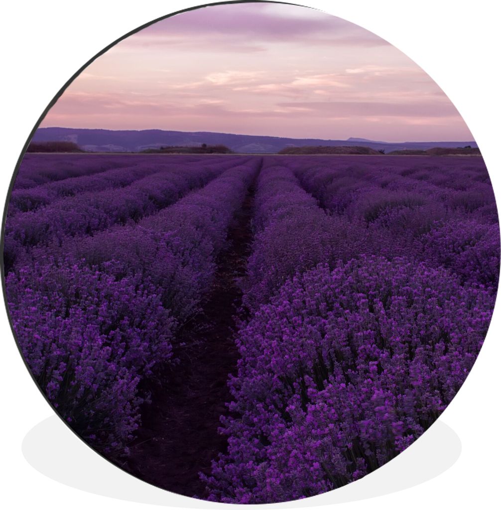 MuchoWow Aluminium Wandkreis Lavendel - Lila - Blumen - Natur Ø 90 cm Wanddeko Modern Wohnzimmer - Mauerkreis - Wandbilder - Runde Bild - Bild a...