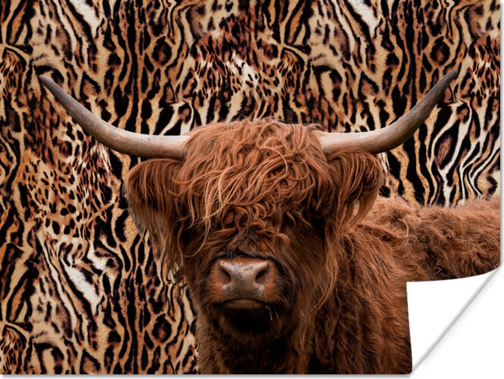 MuchoWow Poster Schottischer Highlander - Pantherdruck - Tiere 160x120 cm - Foto Plakat