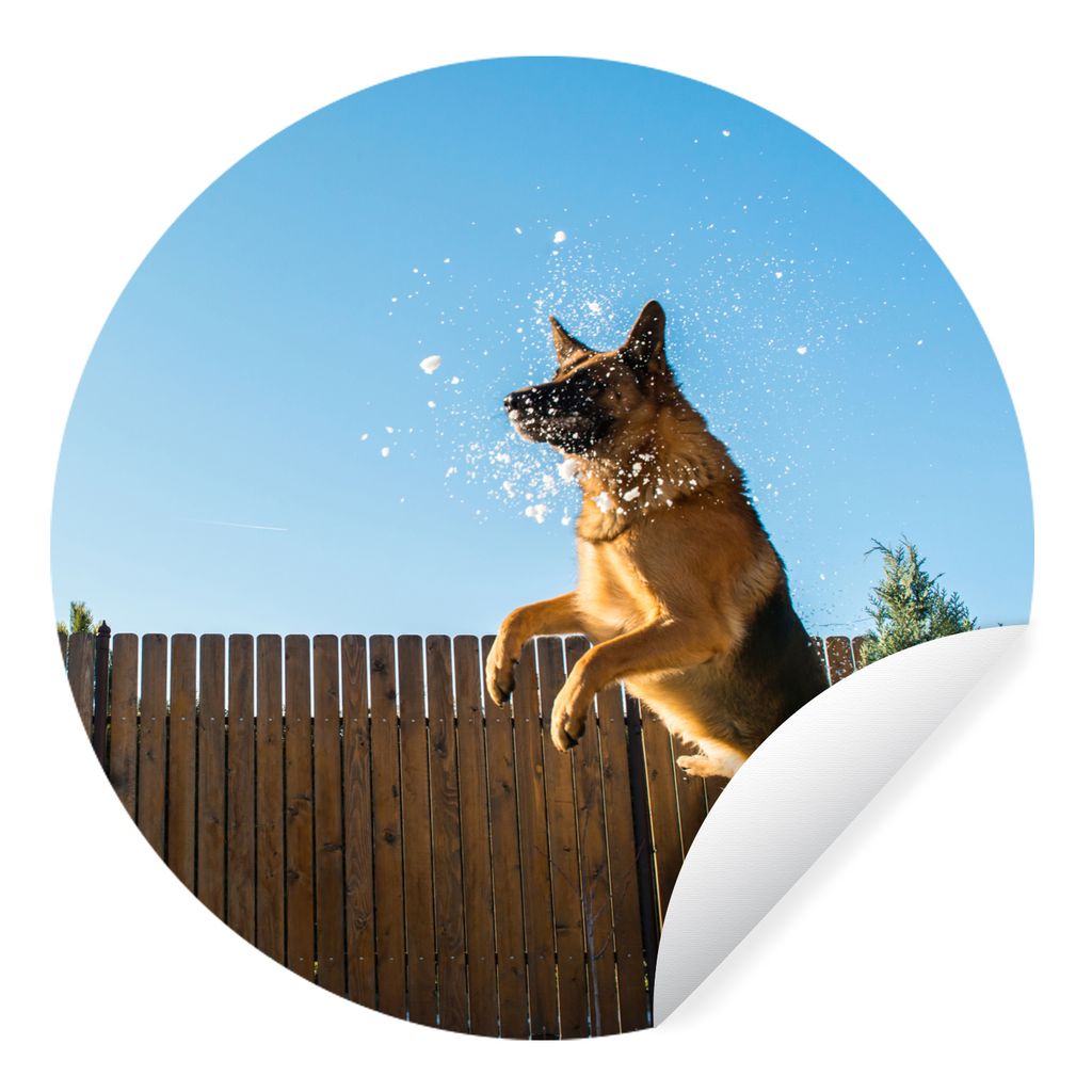 MuchoWow Runde Wandtattoo - Wandsticker Tapete Aufkleber Und Deutscher Schäferhund springt in den Schnee Ø 50 cm Selbstklebend und Repositionie...
