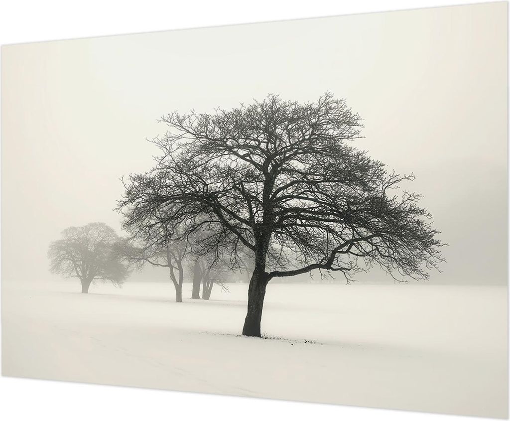 Wandtapete - Dekorative Tapete für Wohnzimmer - Tapetenfolie für Wanddekoration - 208x146 cm - Winterbäume