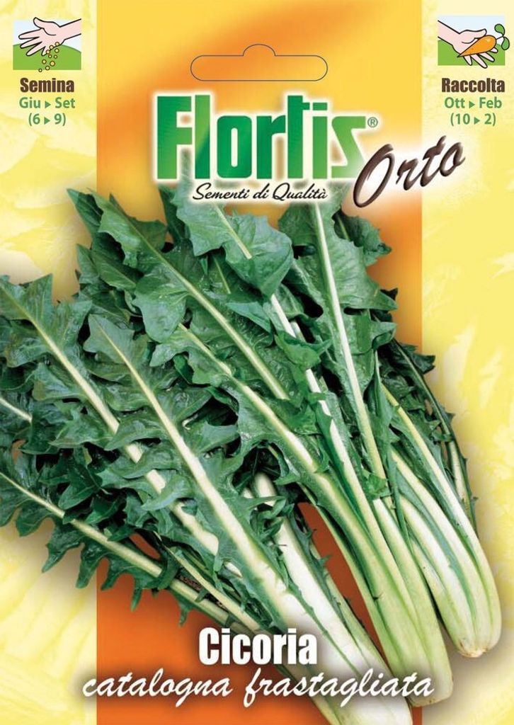 Blattzichorie Catalogna Frastagliata | Blattzichoriensamen von Flortis