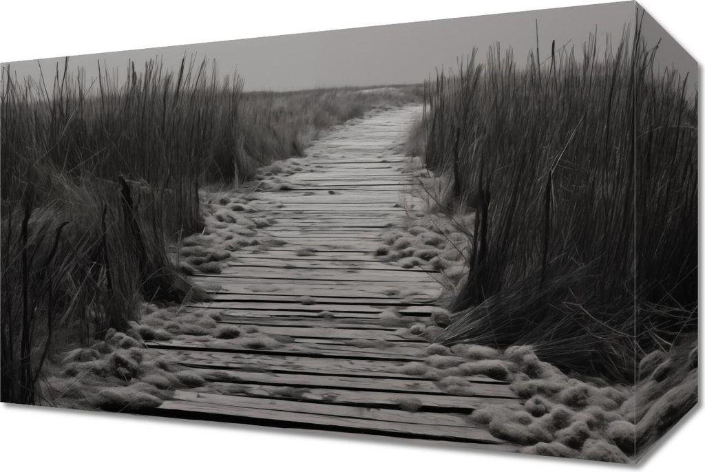 Bild 30x20cm Pfad der Stille Dünen