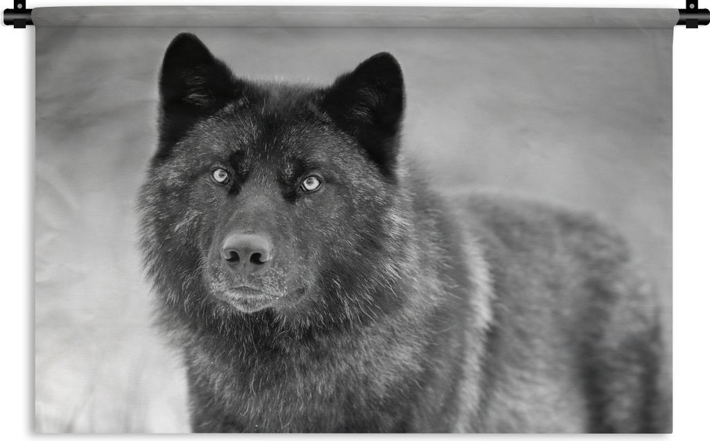 MuchoWow Wandteppich Wandbehang Wolf - Nahaufnahme - Schwarz - Weiß 60x40 cm Tapisserie Dekoration Wandtuch - Wanddekorationen