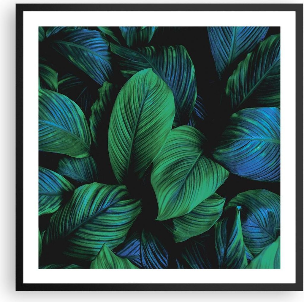 Gerahmtes Poster - Schwarzer Rahmen - Blätter Pflanzen Exotik - 60x60 cm - Wand Bild - Wanddeko - Wandbilder - Kunstposter - Wandposter - Bilderra...