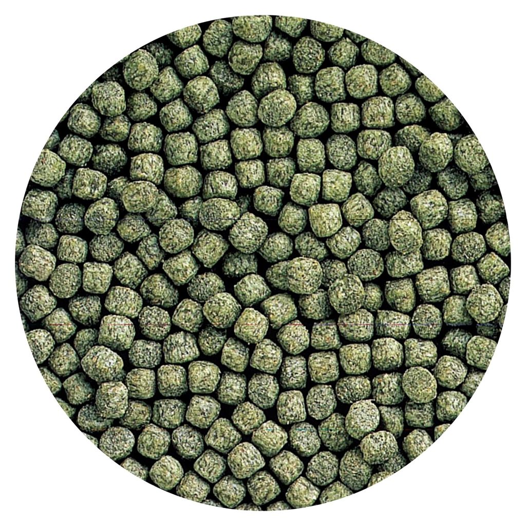 Staple Japanisches Koifutter, Inhalt:10 kg, Größe:2.7-4.0 mm