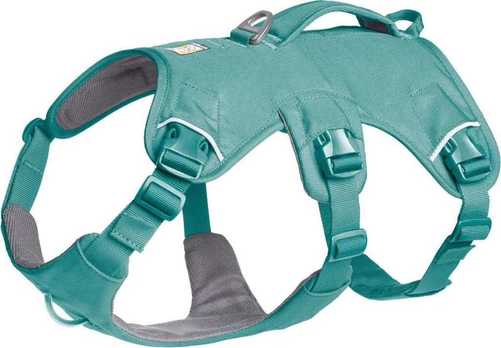 Ruffwear Web Master Dog Harness River Rock Green XXS - Review Tecnica