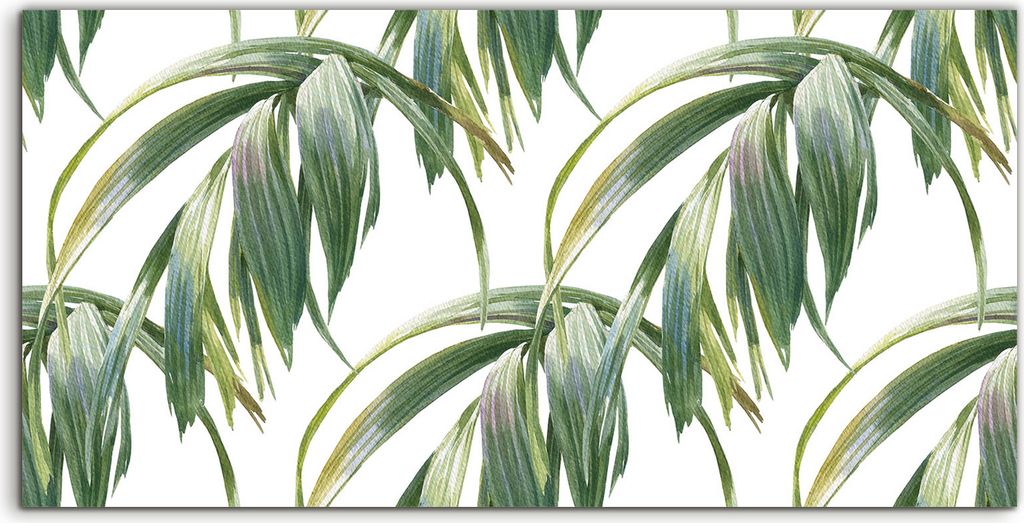 Coloray Acrylbild 140x70 Wandbild Acrylbilder Foto Bild Natur pflanzen Lange Blätter