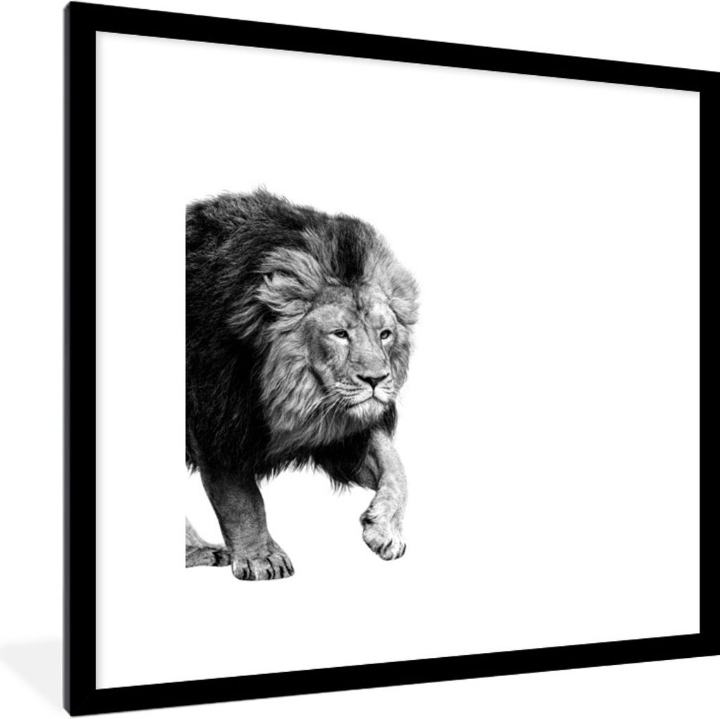 MuchoWow Gerahmtes Poster Löwe - Tiere - Schwarz - Weiß 40x40 cm - Poster mit Schwarzem Bilderrahmen Wandposter Rahmen Foto Bilder - Poster - P...