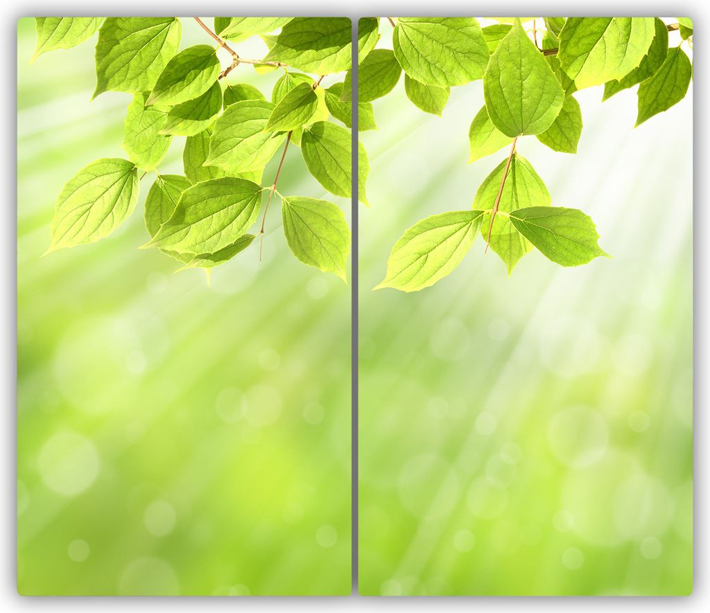 Tulup Glas-Herdabdeckplatte - 2x30x52cm - Ceranfeldabdeckung Spritzschutz Zweiteilig Laub