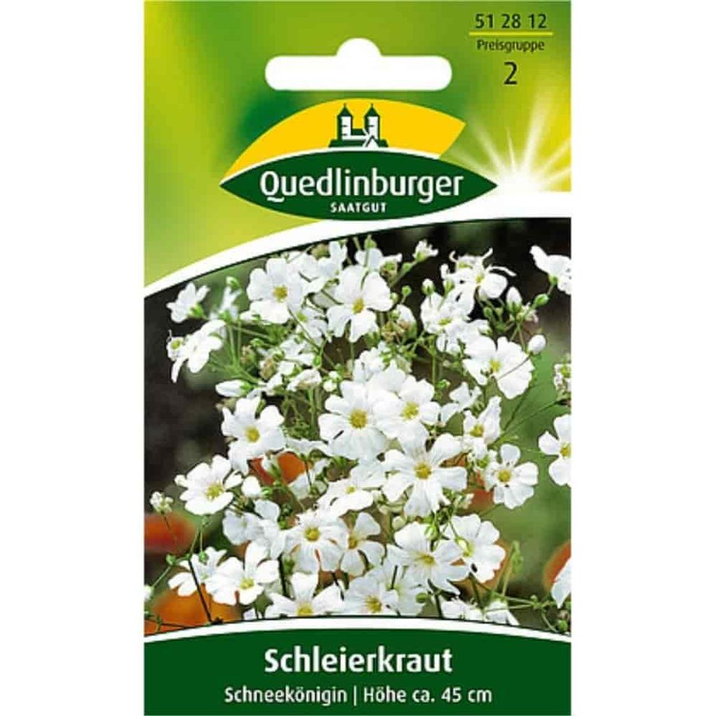 Quedlinburger Saatgut - Schleierkraut Schneekönigin - Samen - 512812