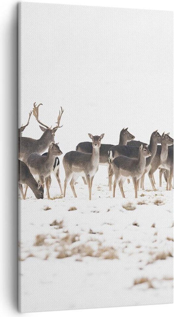 Bild auf Leinwand - Leinwandbild - Hirsch Winter Tierwelt Landschaft - 45x80cm - Wand Bild - Wanddeko - Leinwanddruck - Bilder - Kunstdruck - Leinw...