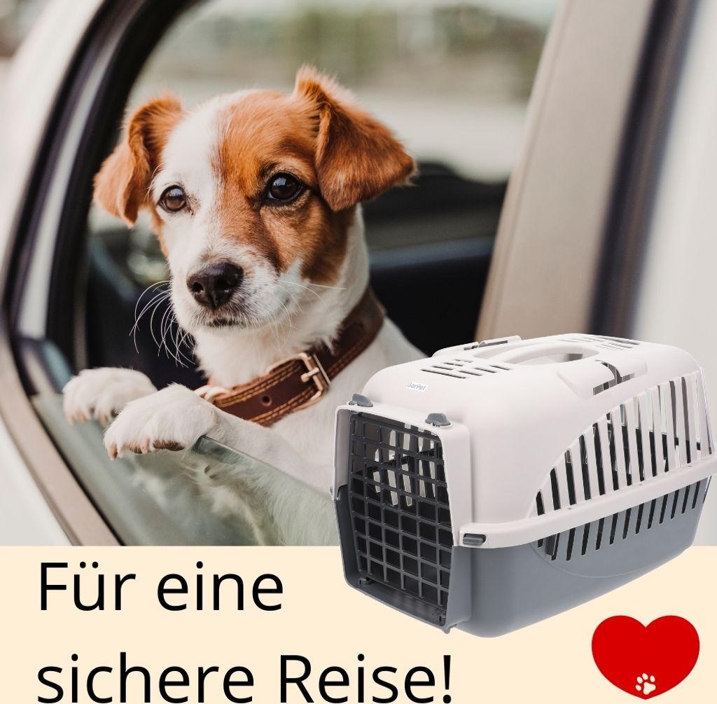 Hundebox Auto Rückbank Transportbox Katze Produktbild 8