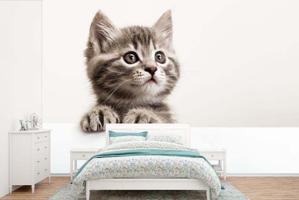 MuchoWow Fototapete für Wohnzimmer oder Schlafzimmer Wandtapete Vinyl Motivtapete Katze - Grau - Tiere - 525x350 cm - Das Hintergrundbild