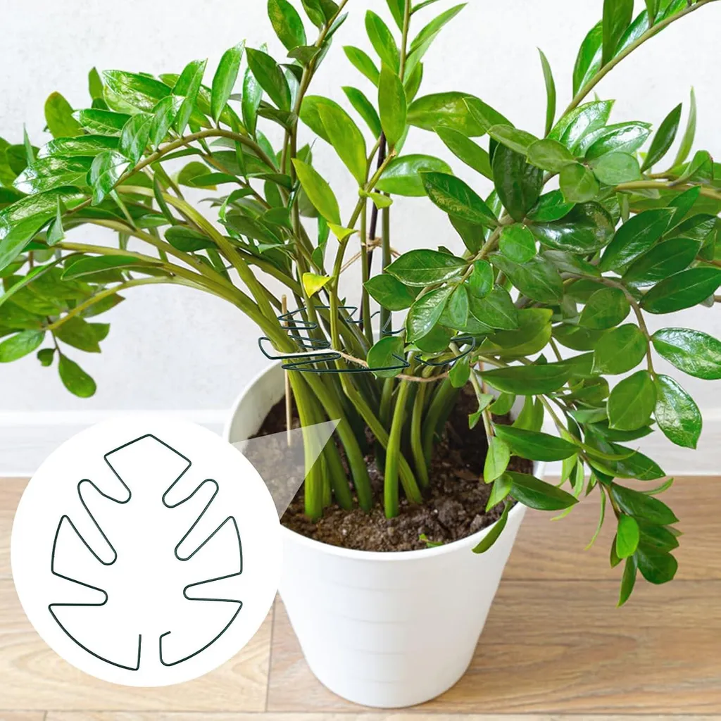 Support pour Monstera : aide à la croissance verticale des plantes - 2