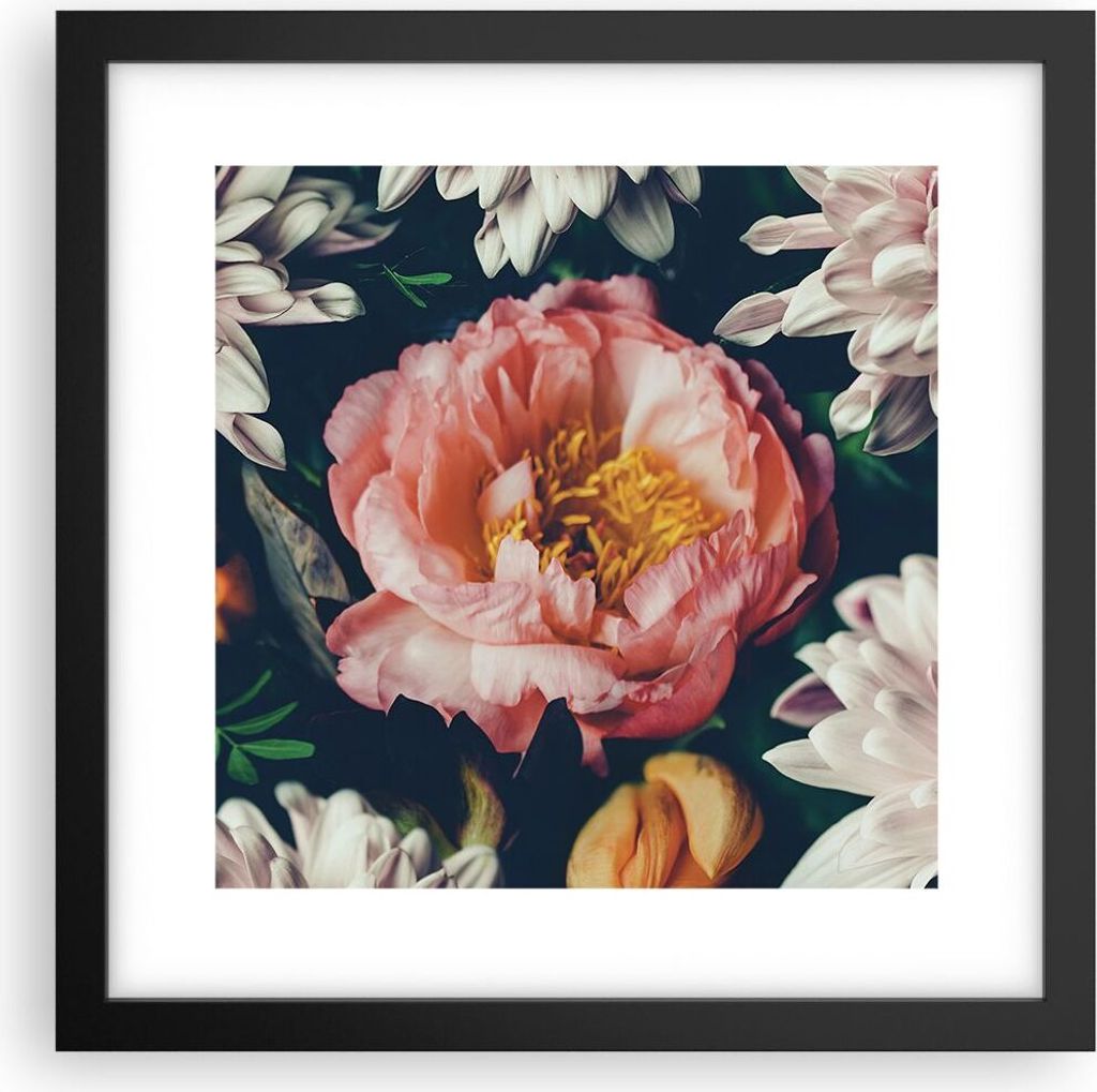 Gerahmtes Poster - Schwarzer Rahmen - Blumen Pfingstrose Holzig - 30x30 cm - Wand Bild - Wanddeko - Wandbilder - Kunstposter - Wandposter - Bilderr...