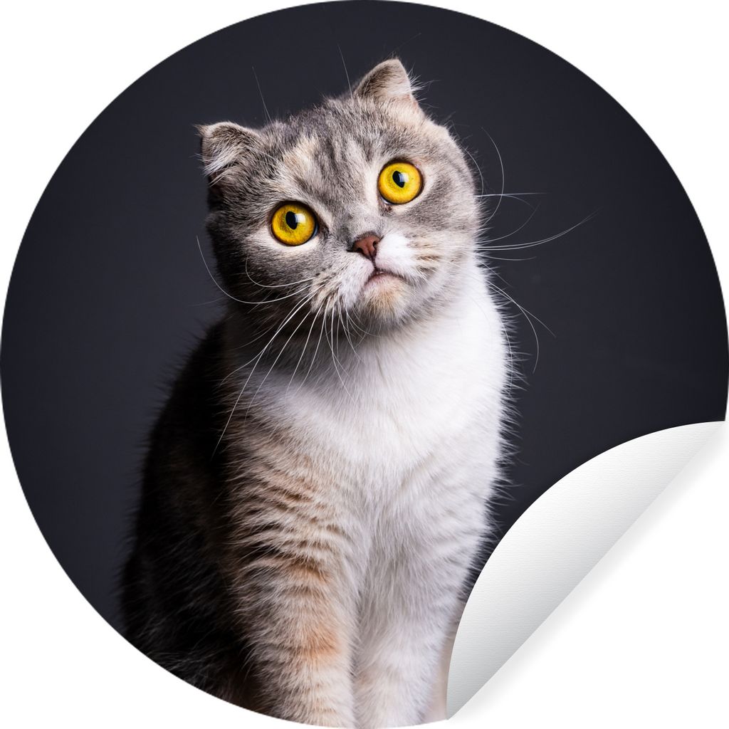 MuchoWow Runde Wandtattoo - Wandsticker Tapete Aufkleber Katze - Augen - Licht Ø 50 cm Selbstklebend und Repositionierbar - Wandaufkleber - Kreis