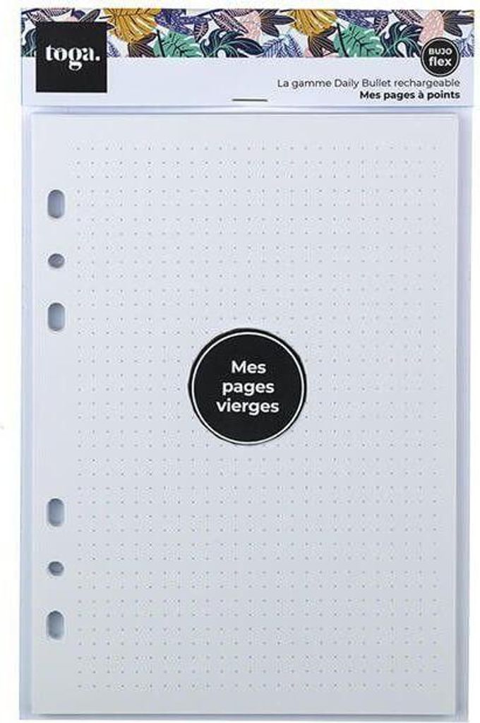 Bullet Journal refill - gepunktete Seiten