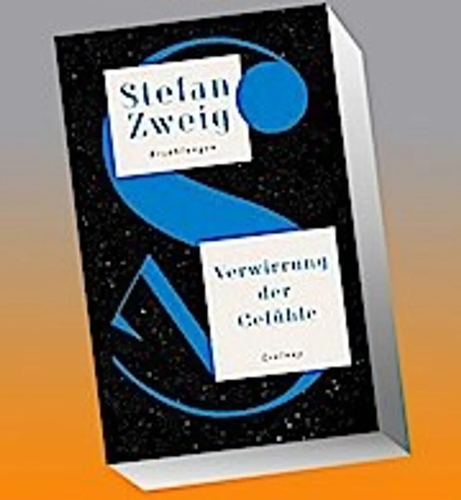 Livre de Poche Verwirrung der Gefühle par Stefan Zweig en Allemand VO